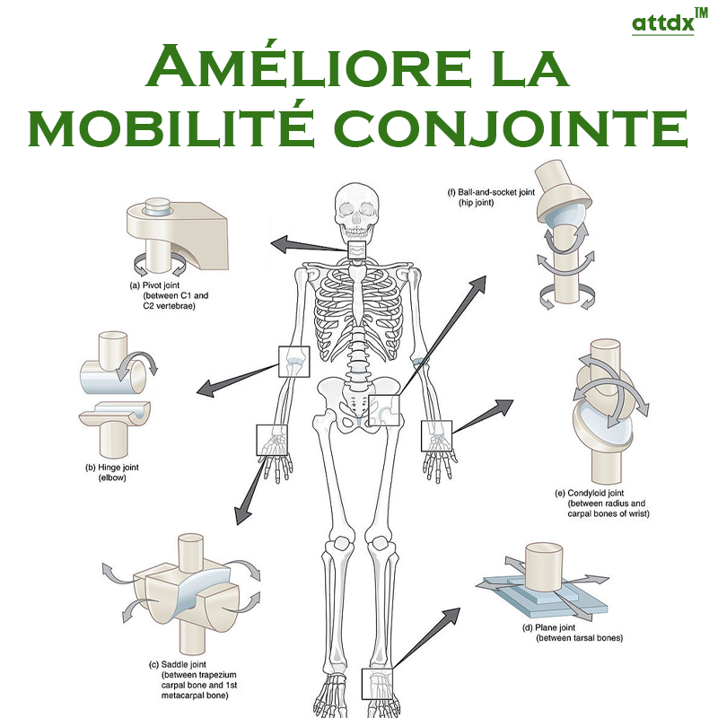 ATTDX AbeilleVénom Joint Secours Patch