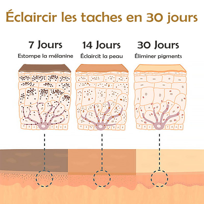 ATTDX CorpsBlanchiment SombrePlace Correctrice Crème