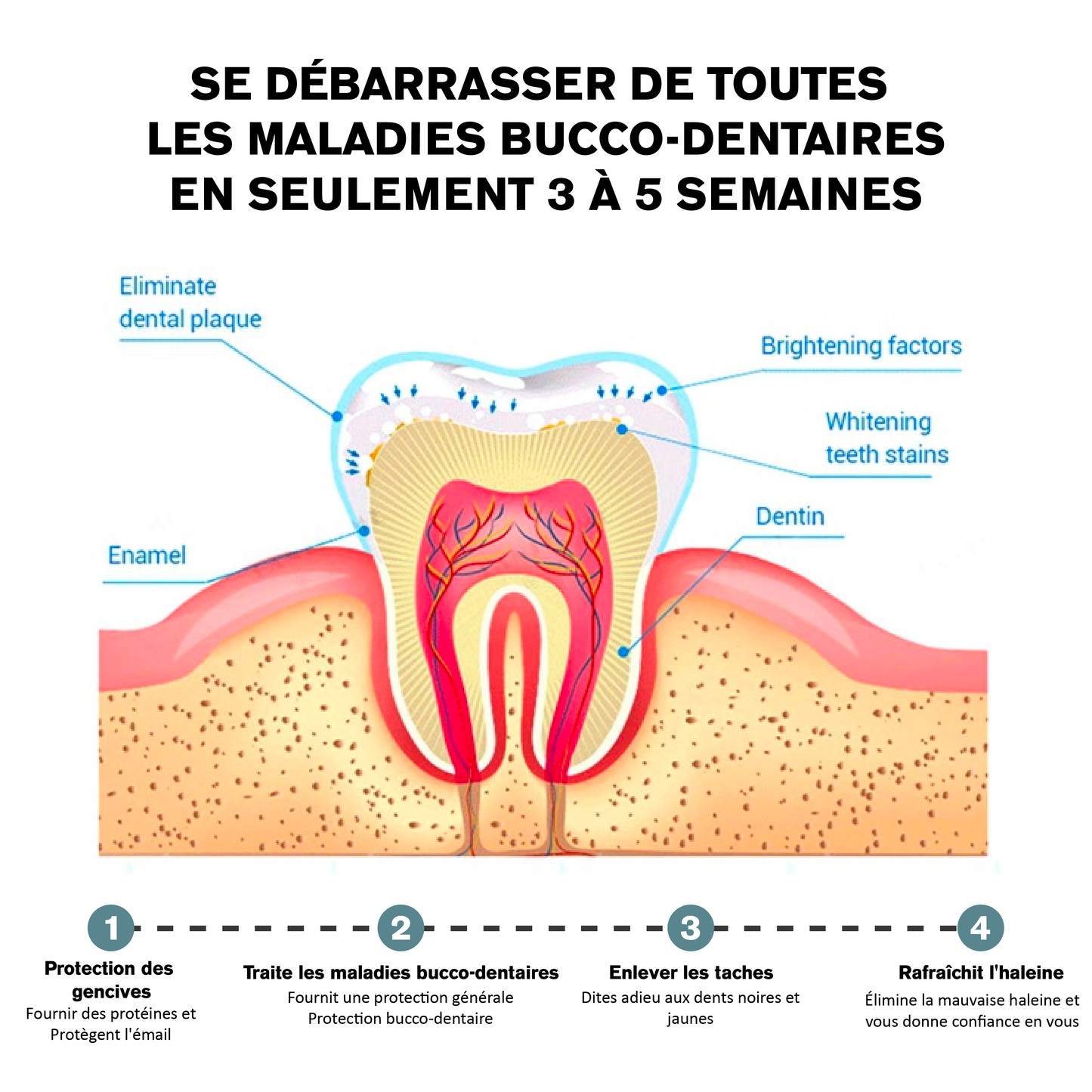 ATTDX Guérison orale Blanchiment des dents Rince bouche